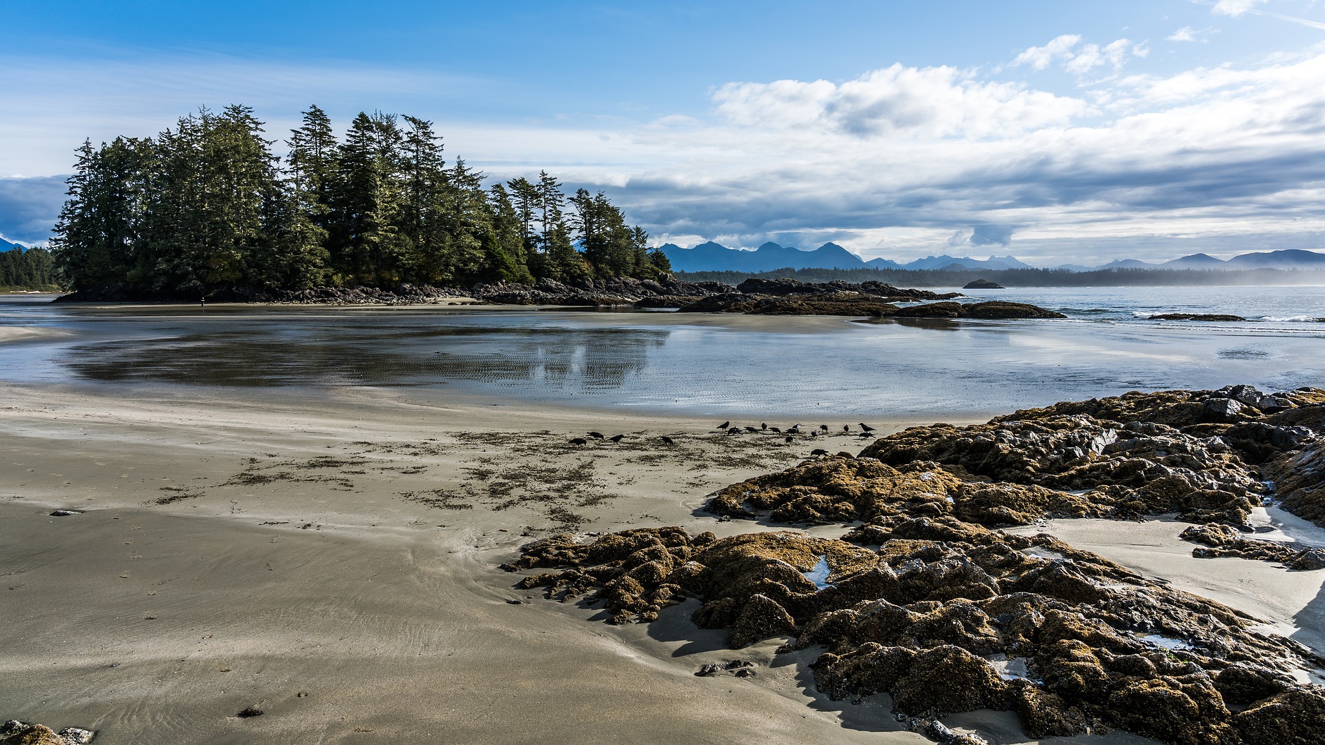 beach-tofino-plage