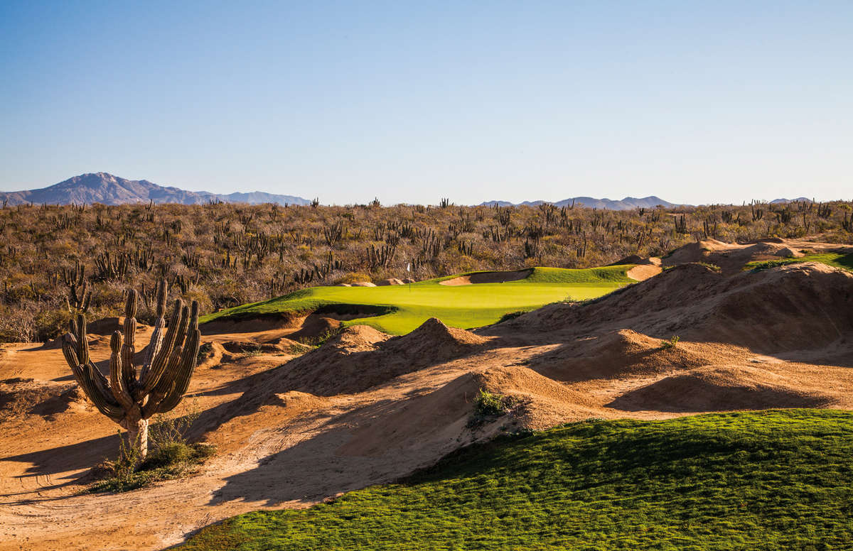 1200-1200-60-0-0-0-7-1