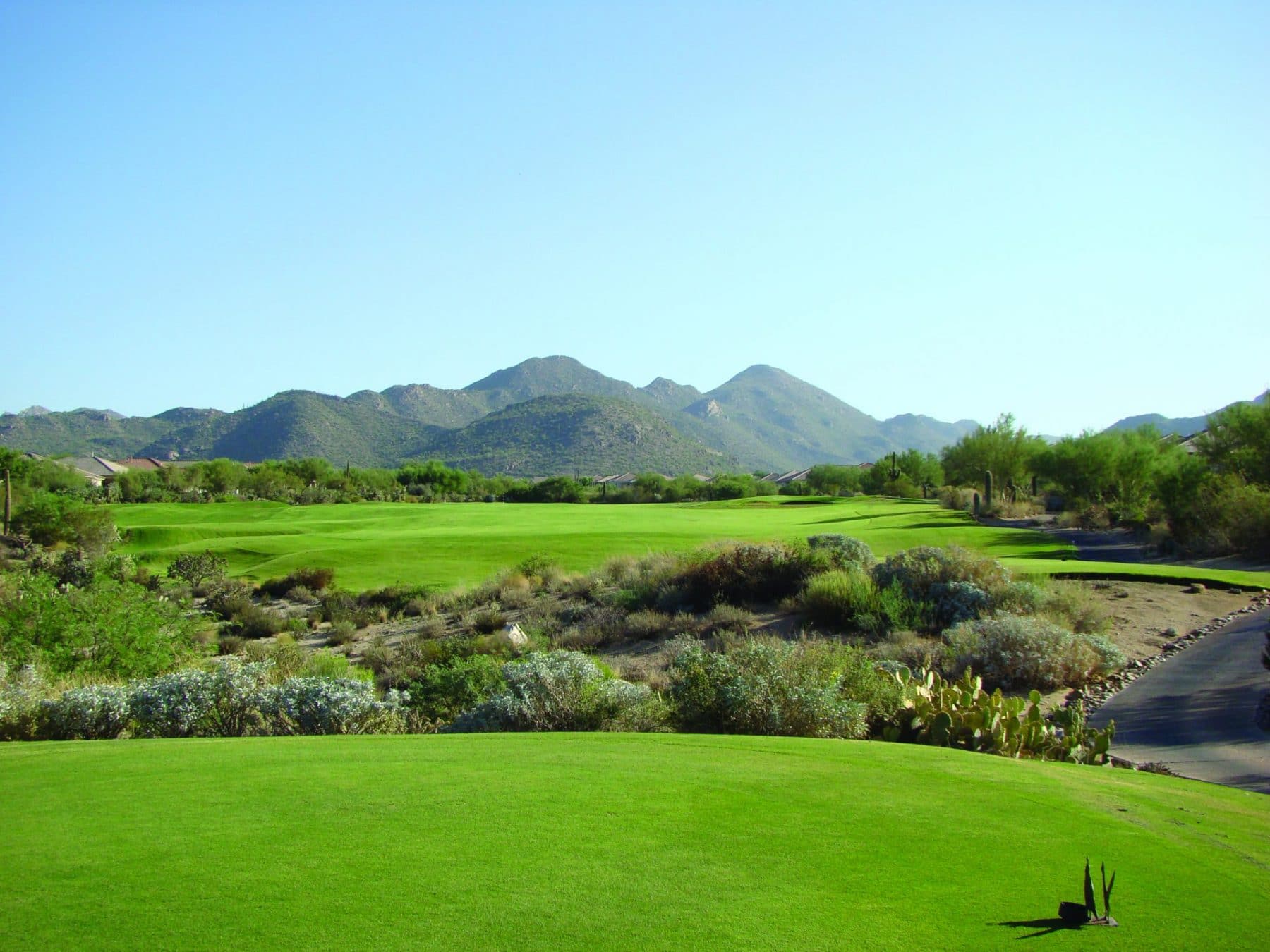5-2nd-Tee-Coyote