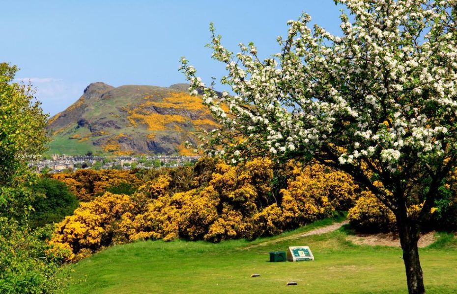 BRAIDS-HILLS-NEW-5-1