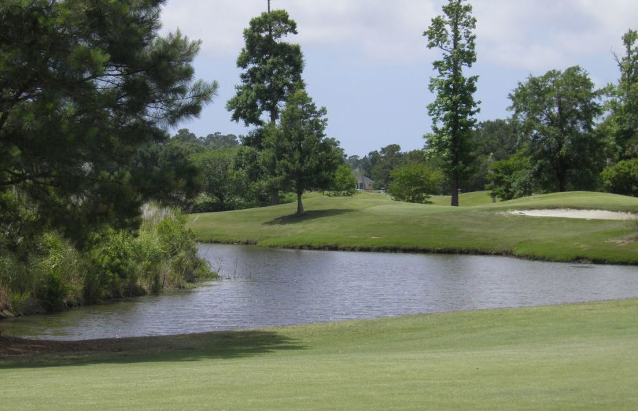 BRUNSWICK-AZALEA-NEW-1