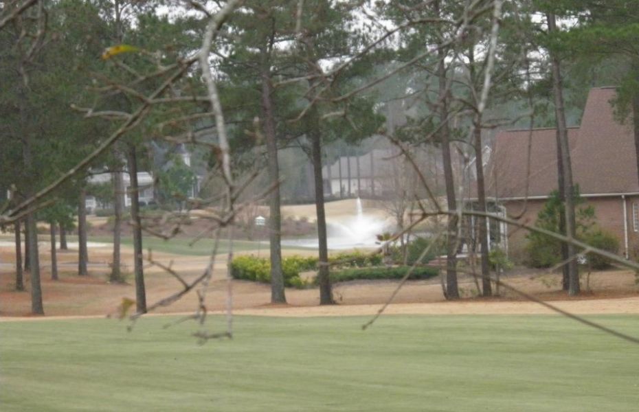 BRUNSWICK-AZALEA-NEW-2