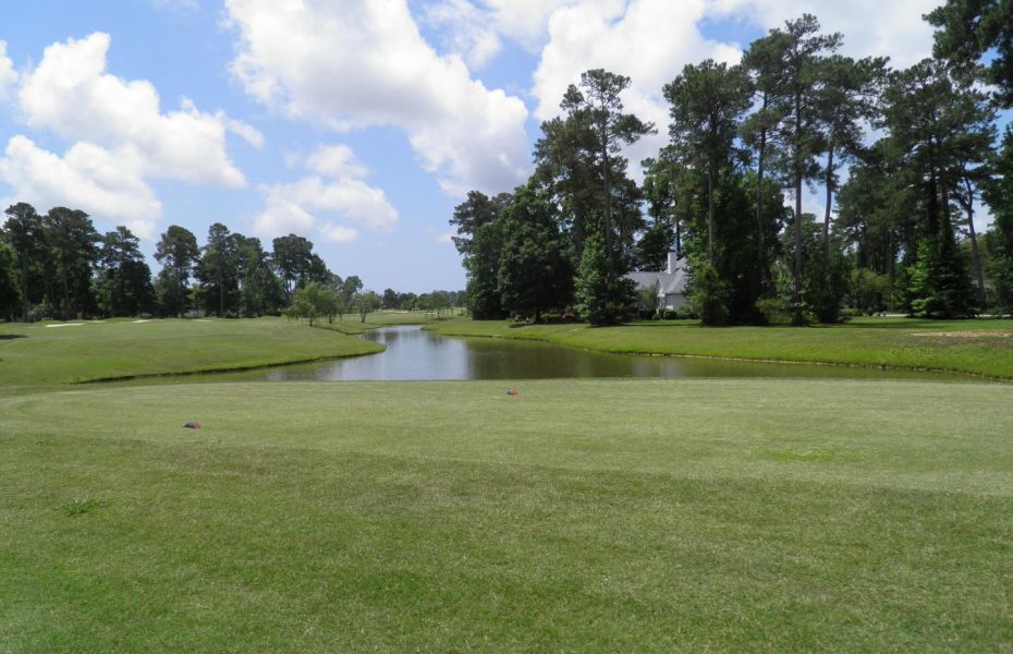 BRUNSWICK-DOGWOOD-NEW-1