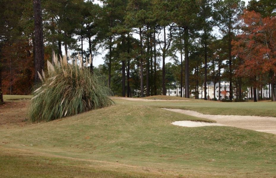 BRUNSWICK-DOGWOOD-NEW-3