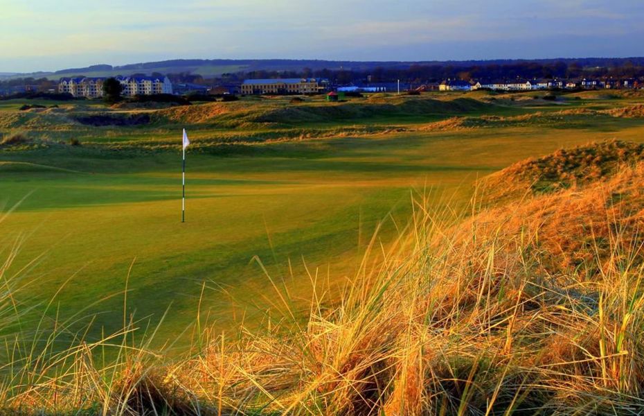 BUDDON-LINKS-NEW-1