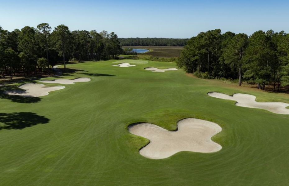 CAROLINA-HERON-NEW-4