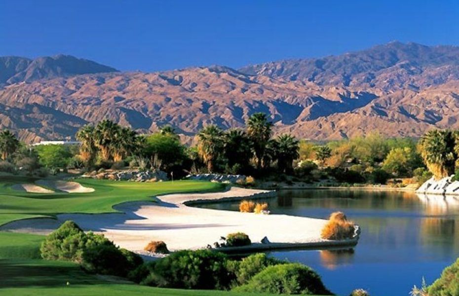 FIRECLIFF-WILLOW-4