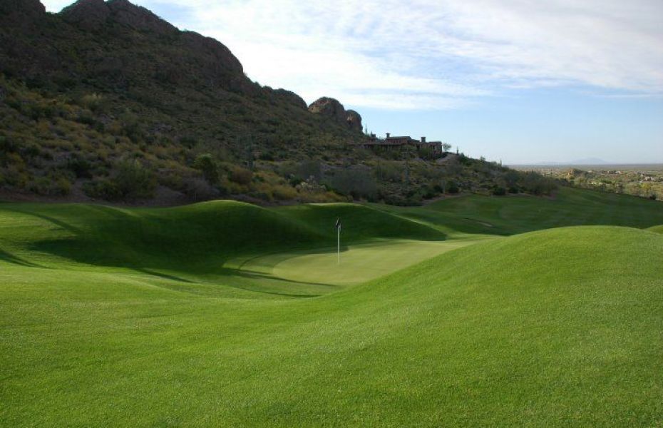GOLD-CANYON-DINAUSOR-4