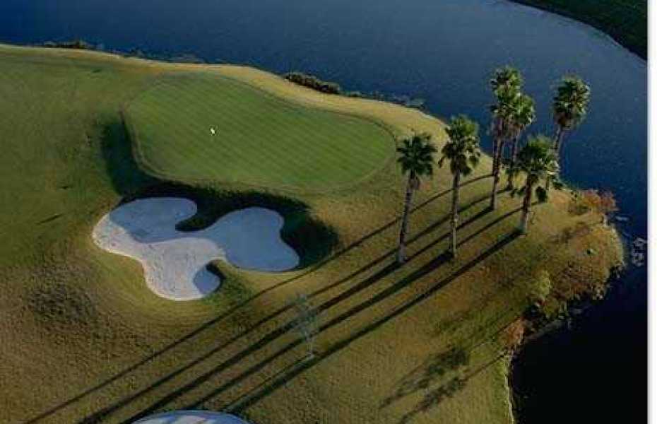 GOLDEN-BEAR-NEW-2