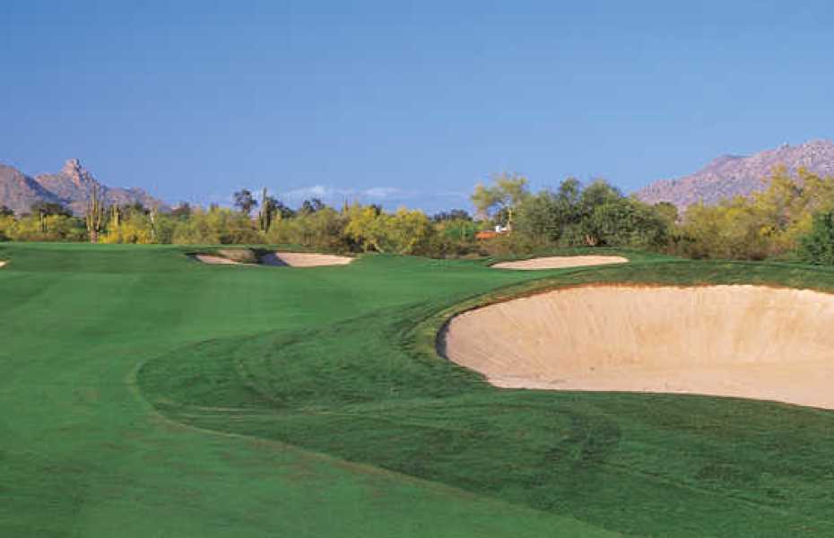 GRAYHAWK-RAPTOR-NEW-3
