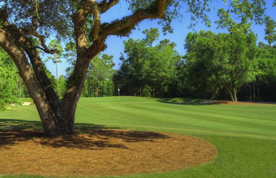 OAKS-GOLF-NEW-5