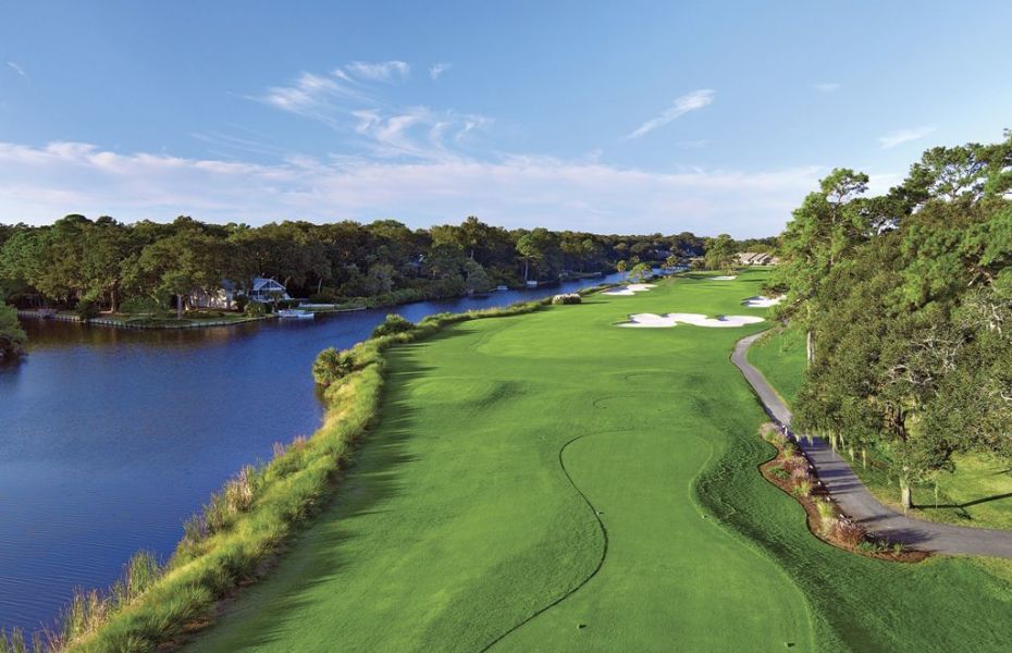 PALMETTO-FAZIO-NEW-1