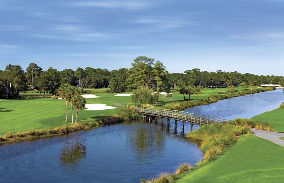 PALMETTO-FAZIO-NEW-2