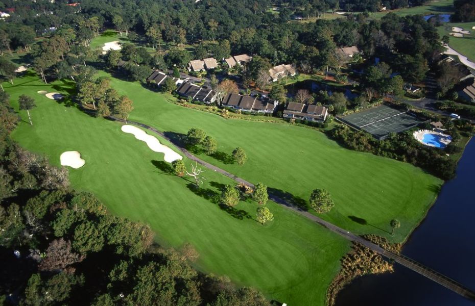 PALMETTO-FAZIO-NEW-3