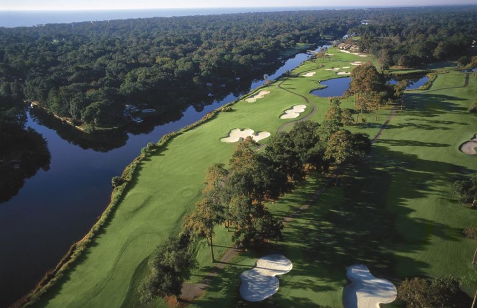 PALMETTO-FAZIO-NEW-4