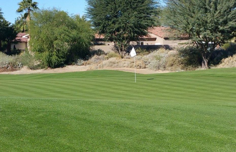 PGA-GREG-NEW-2