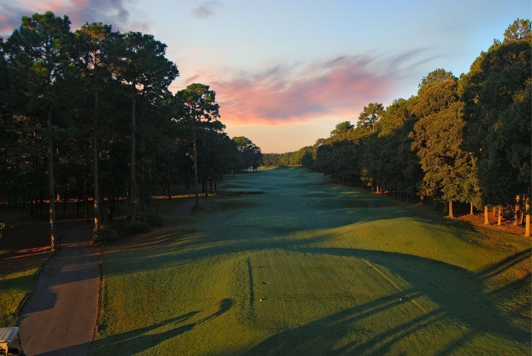 PRESTWICK-NEW-8