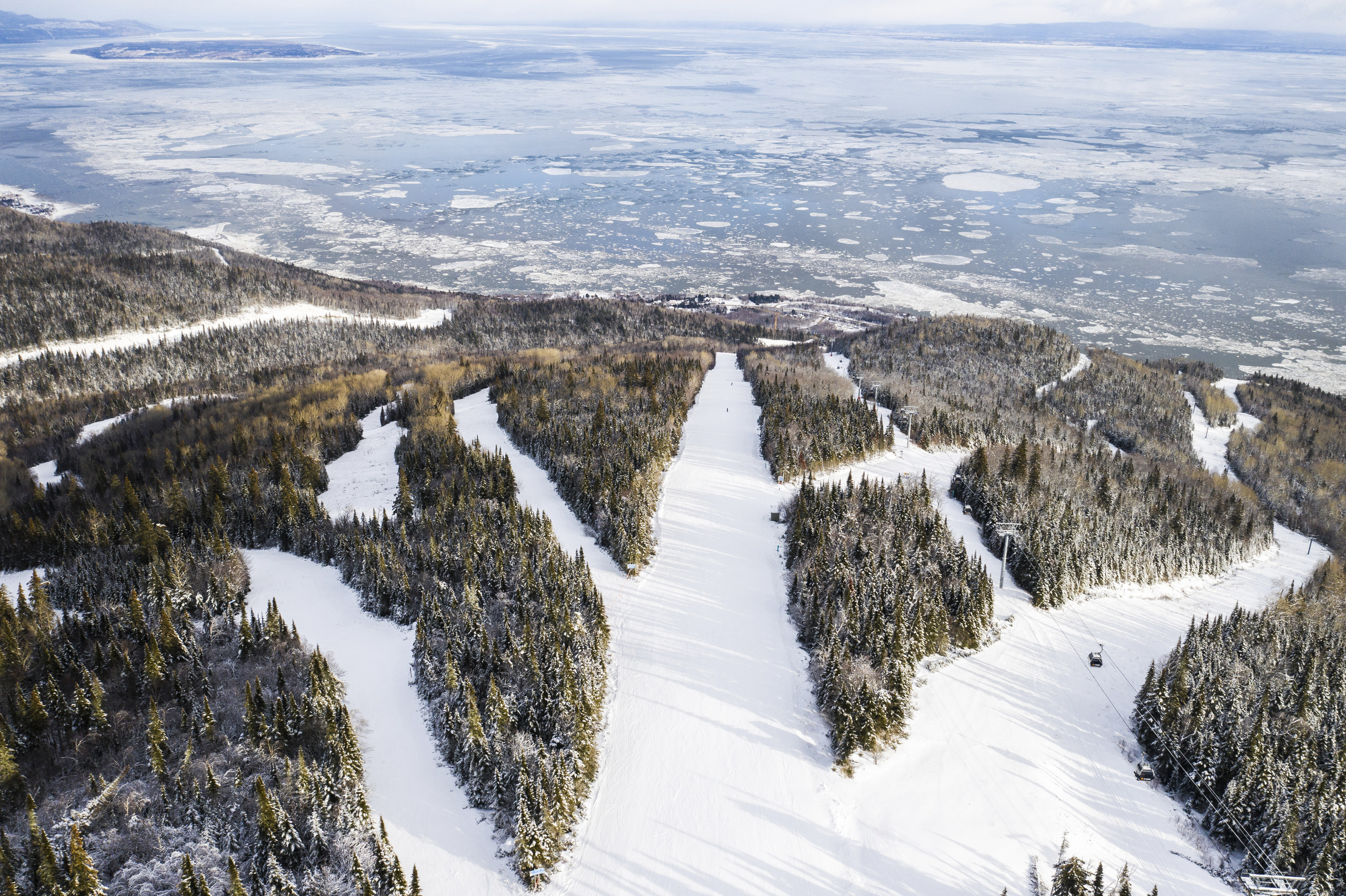 QCHC_L119_004-3