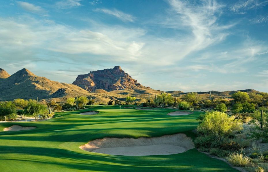 SAGUARO-NEW-1