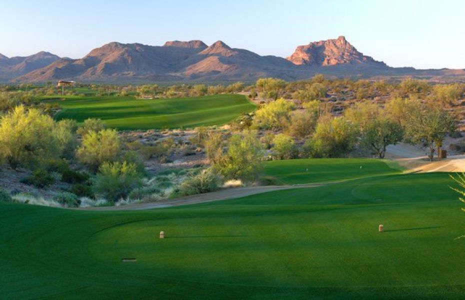 SAGUARO-NEW-3