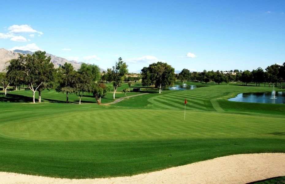 SONORAN-NEW-1