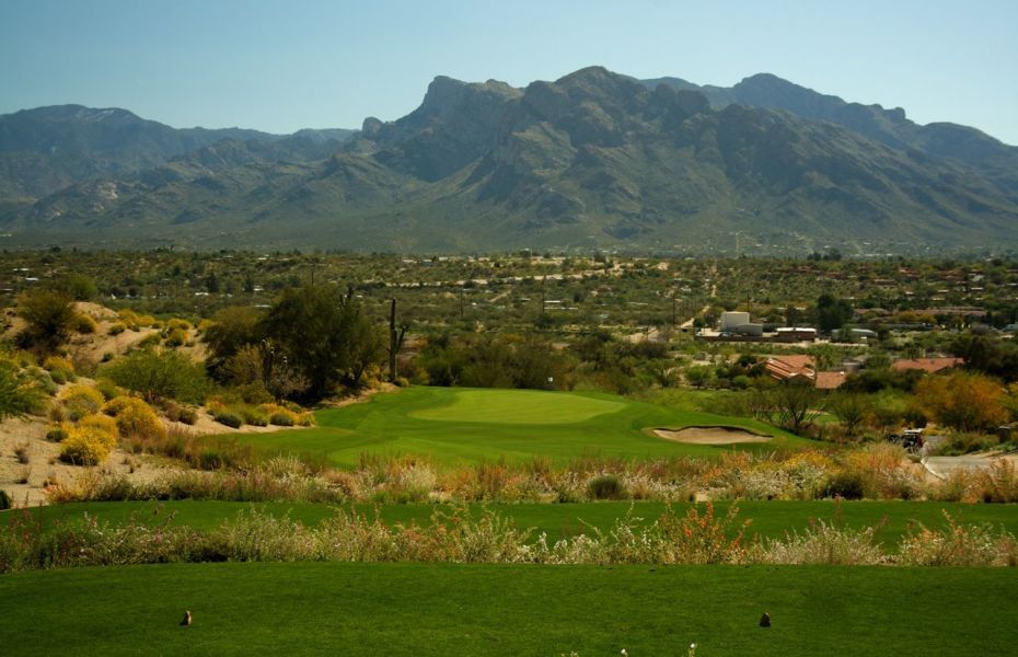 SONORAN-NEW-2