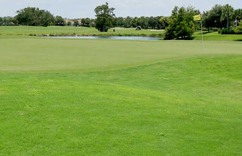 STONEYBROOK-NEW-3