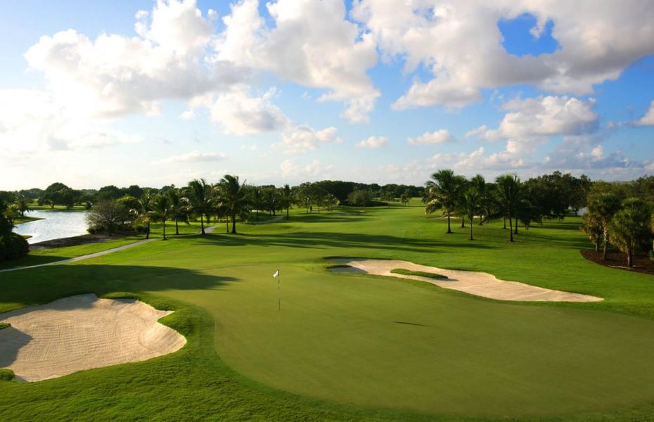 THE-BLUE-MONSTER-NEW-1