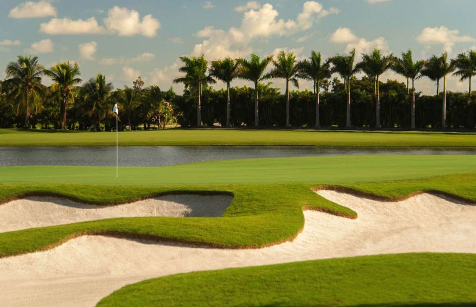 THE-BLUE-MONSTER-NEW-2