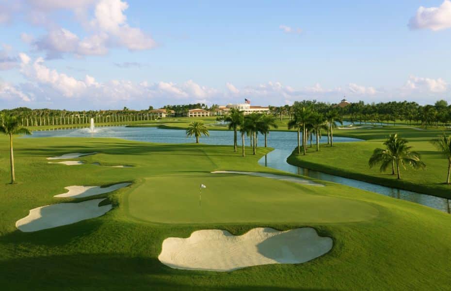 THE-BLUE-MONSTER-NEW-3-1