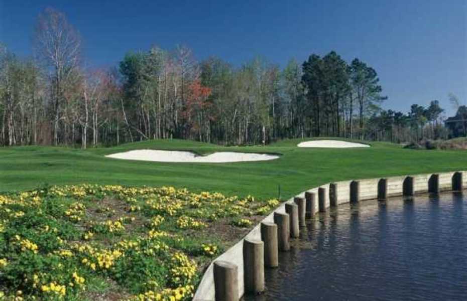 THE-CYPRESS-NEW-2
