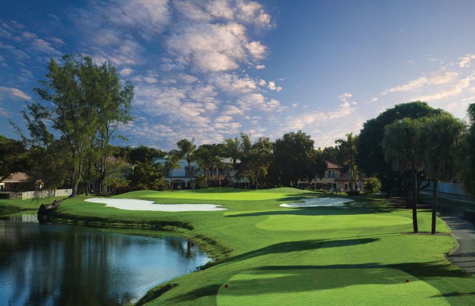 THE-GOLDEN-PALM-NEW-2