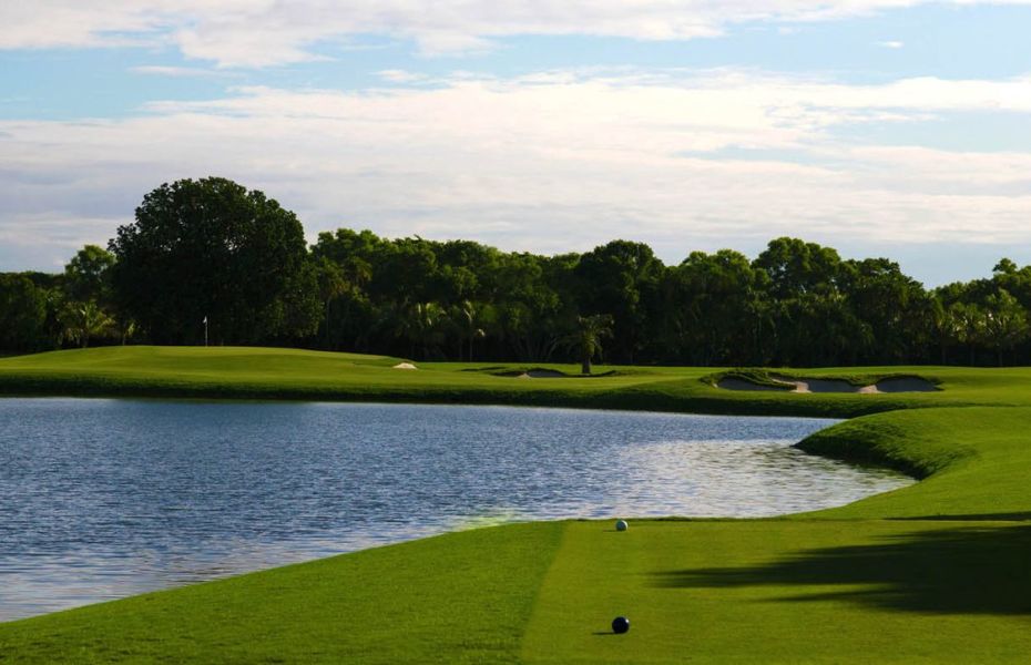 THE-GOLDEN-PALM-NEW-3