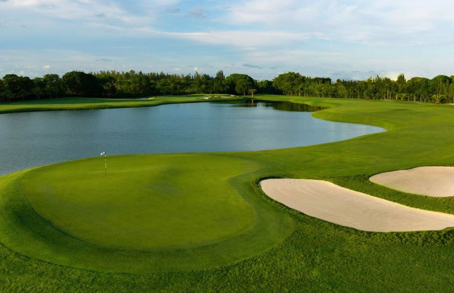 THE-GOLDEN-PALM-NEW-4