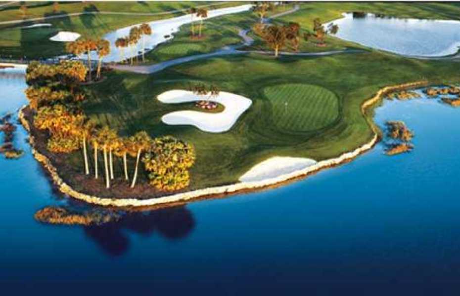 THE-PALMER-NEW-3