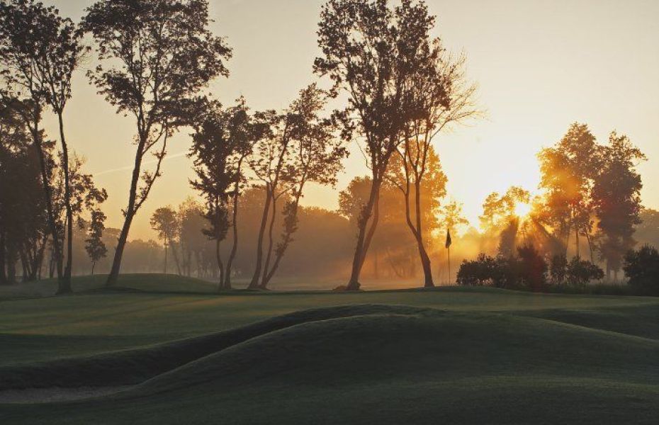 TPC-LOUISIANA-NEW-3