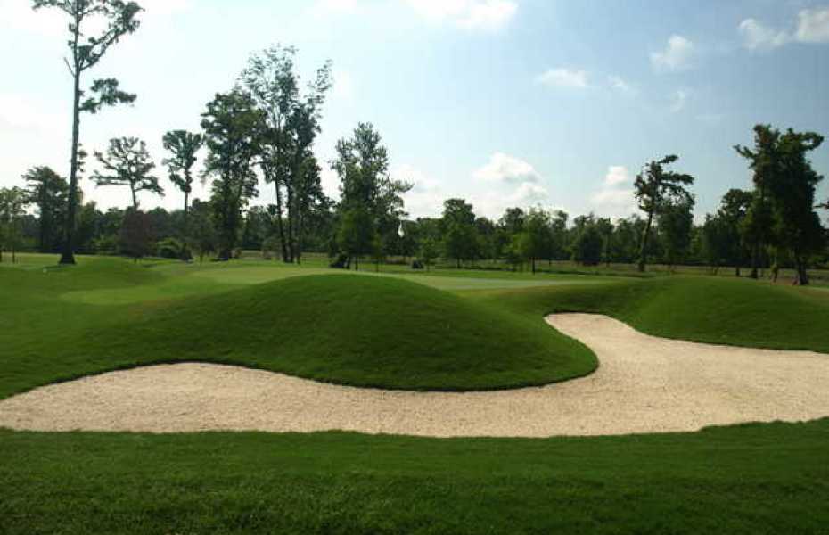 TPC-LOUISIANA-NEW-7