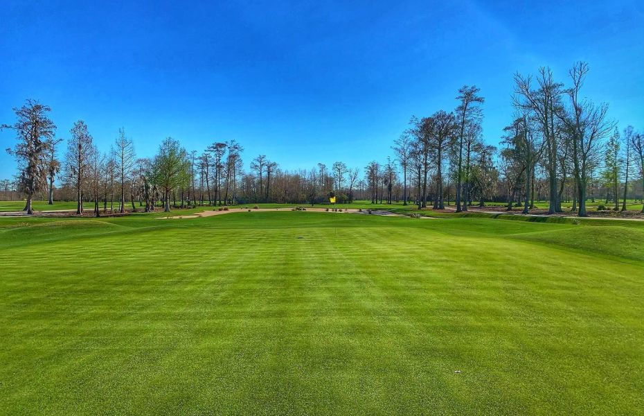 TPC-LOUISIANA-NEW-8