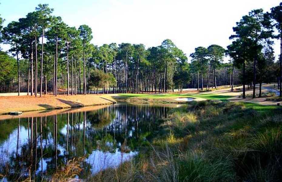 TPC-MYRTLE-NEW-6