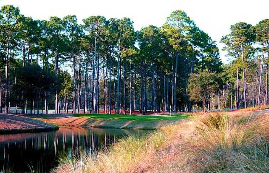 TPC-MYRTLE-NEW-7