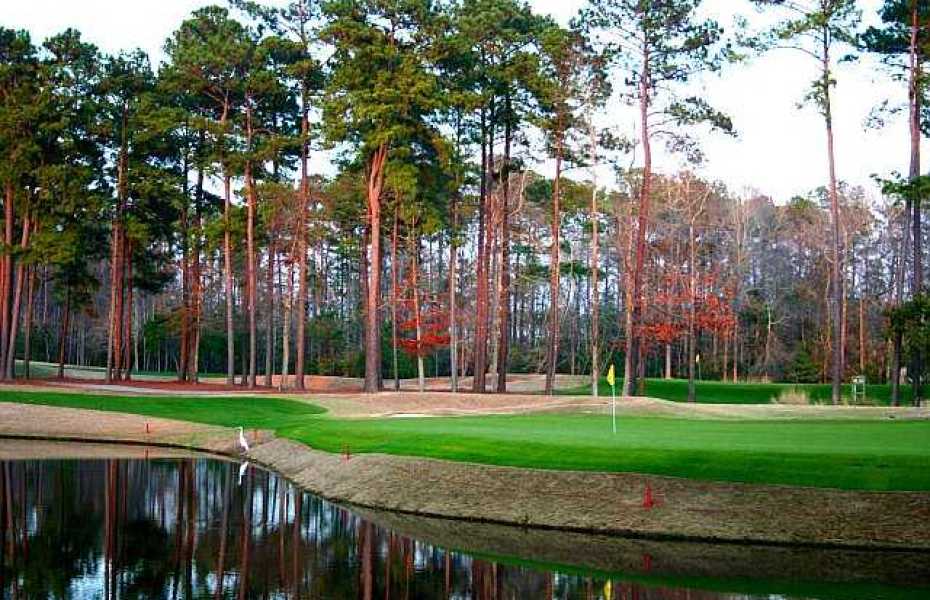 TPC-MYRTLE-NEW-8