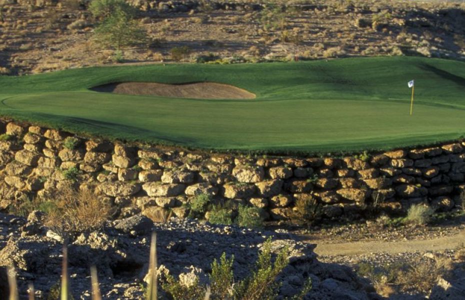 TPC-VEGAS-NEW-2