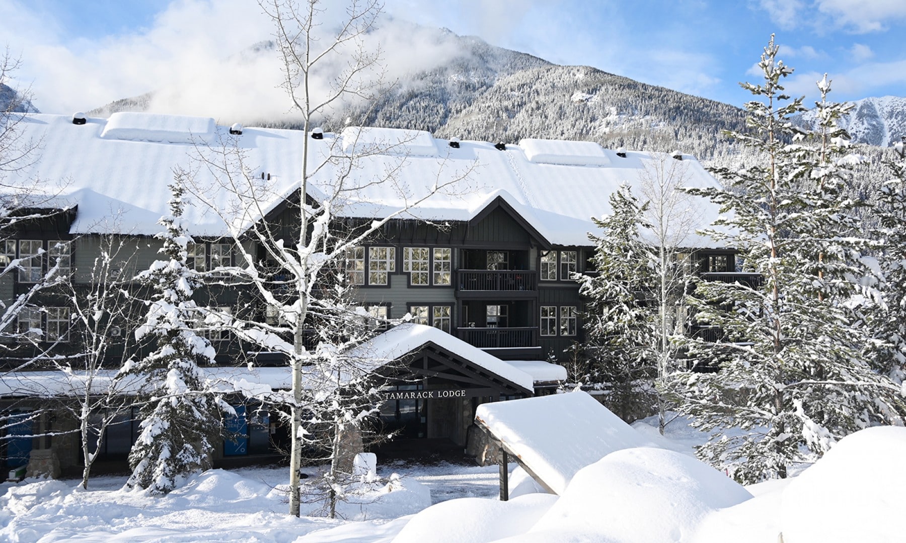 Tamarack Lodge