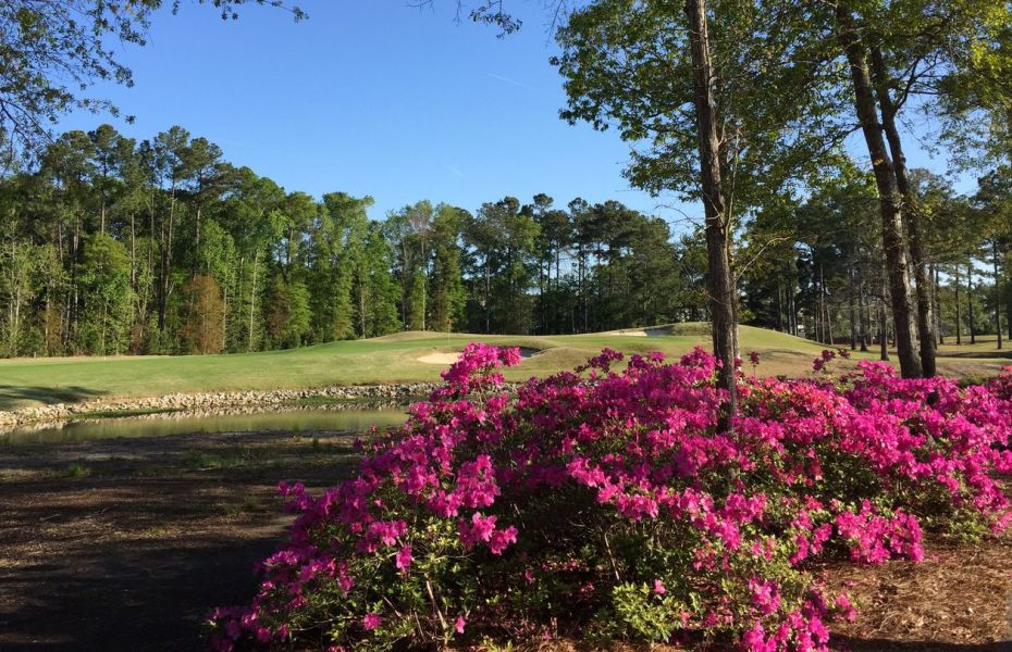 golfadvisor.brightspotcdn