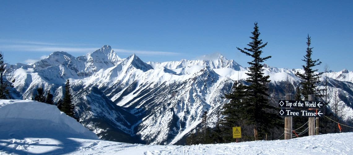 Taynton Bowl