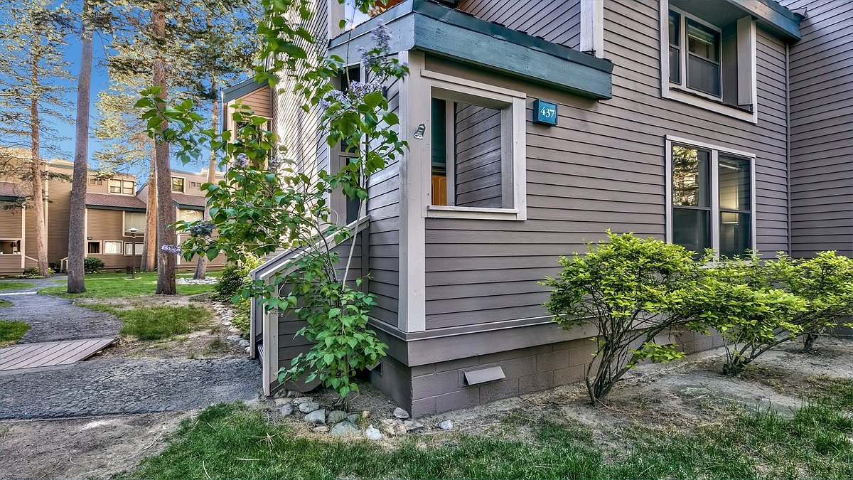 summer-pinegrove-area