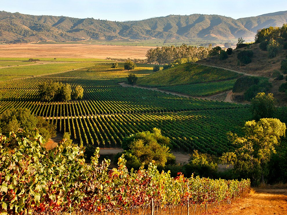 64_CasablancaValley_3