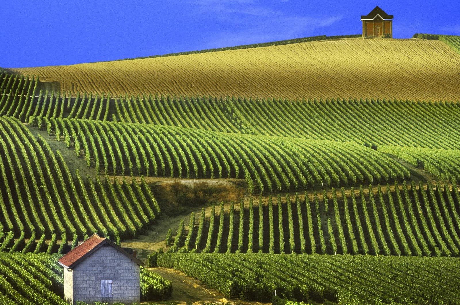 Bordeaux France Vin