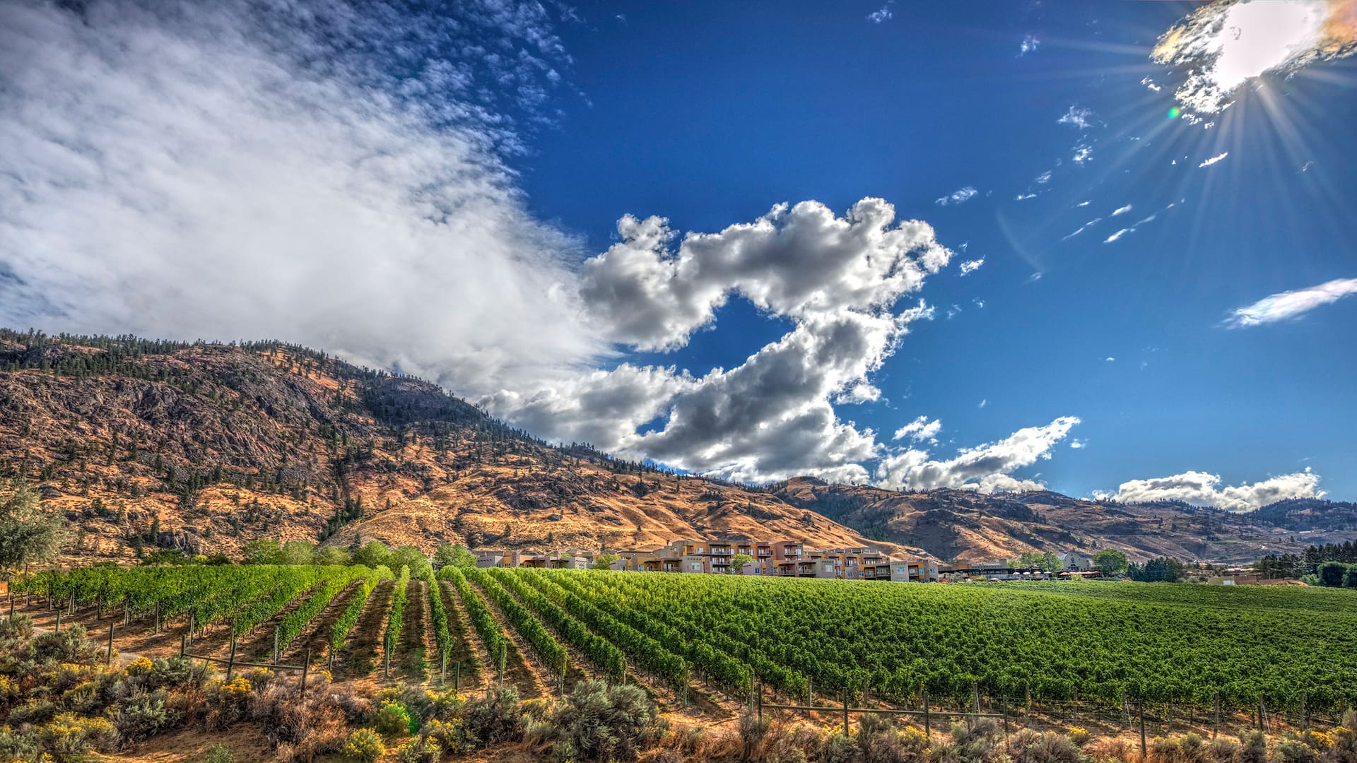 Spirit-Ridge-at-NK-MIP-Resort-P006-Vineyard-Mountains-Clouds.16x9