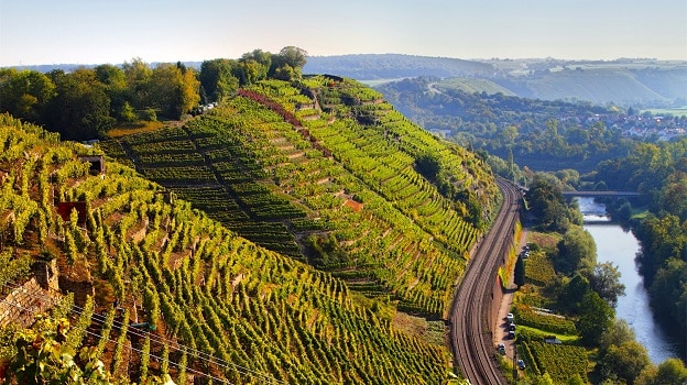 Württemberg-Vineyard